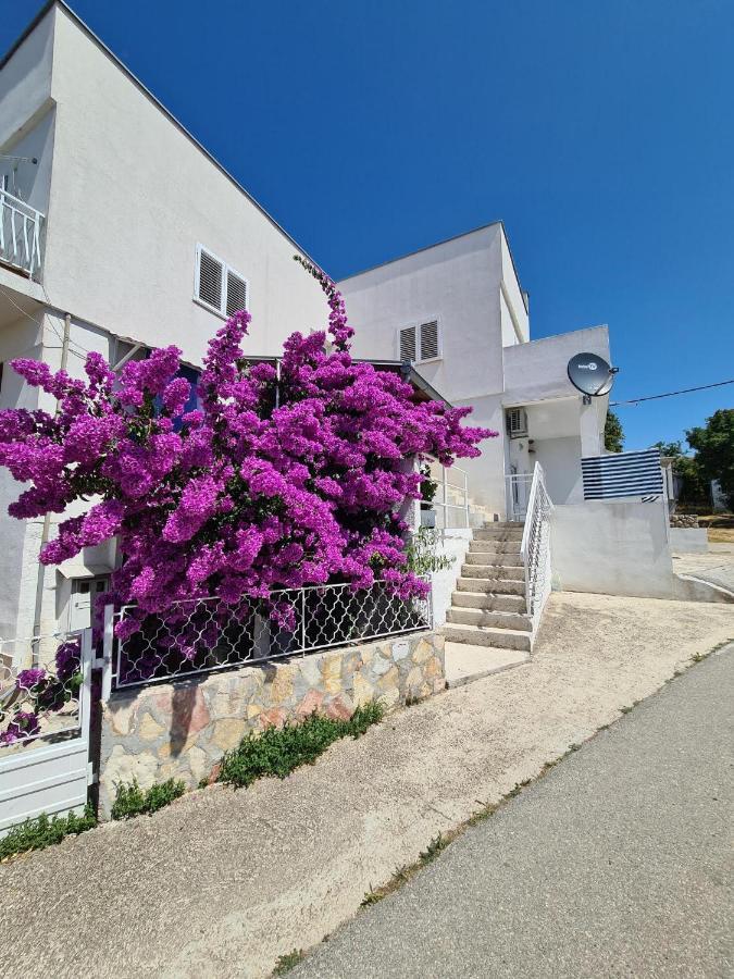 Maslenica-Bougainvillea Eksteriør billede